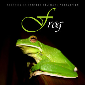 Dengarkan Frog (Explicit) lagu dari Lamtech dengan lirik