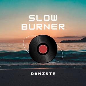 Danzste的專輯Slow Burner (feat Interplanetary Criminal)