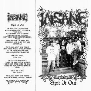 Dengarkan Spit It Out (feat. Fatty Bastard) lagu dari Insane dengan lirik