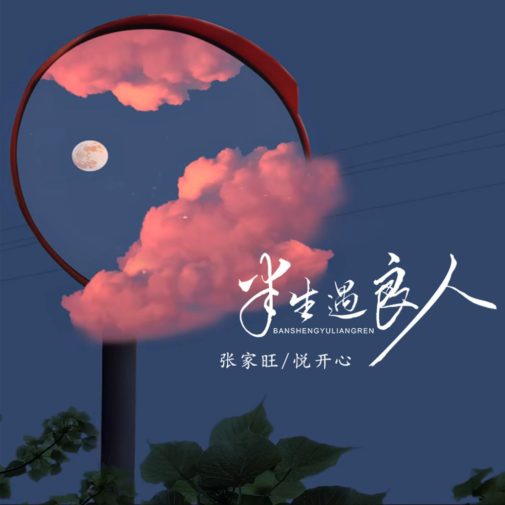 半生遇良人 (对唱版伴奏)