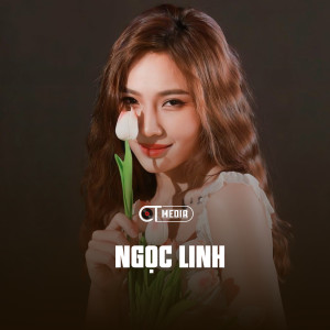 Ngọc Linh的專輯Khúc Giao Mùa (Disco Remixes)