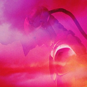 อัลบัม Infernal Demon Keito - Unfrozen Predators ศิลปิน チェスマスター