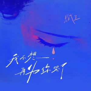 Listen to 我不想再为你哭了 (伴奏) song with lyrics from 赋生