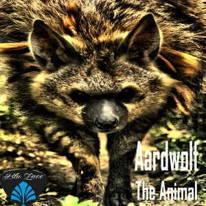 Album The Animal from Aardwolf