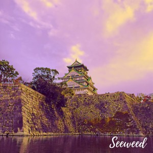 Album Hanzo from 