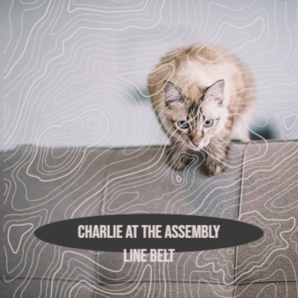 Charlie at the Assembly Line Belt