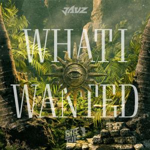 Album What I Wanted from Jauz