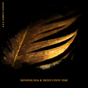 ดาวน์โหลดและฟังเพลง Deep Meditation Deep Sleep พร้อมเนื้อเพลงจาก Deep Meditation Music Zone