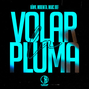 收聽HÄWK的Volar La Pluma歌詞歌曲