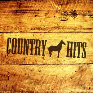 ดาวน์โหลดและฟังเพลง Frautein พร้อมเนื้อเพลงจาก Bobby Helms