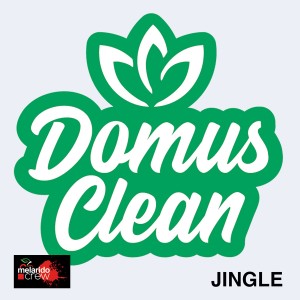 Luca Sepe的專輯Domus Clean Jingle