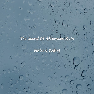 The Sound Of Afternoon Rain