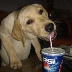 收聽Gothkross的A song i stole from my friend and made it mine (Explicit)歌詞歌曲