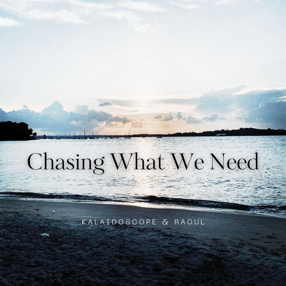 Chasing What We Need (feat. Raoul)