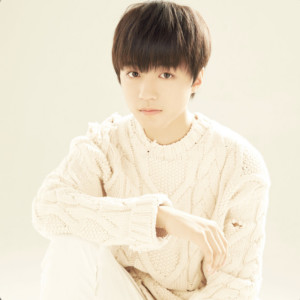 ดาวน์โหลดและฟังเพลง The Wish Of A Tree พร้อมเนื้อเพลงจาก Karry Wang (TFBOYS)
