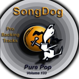 อัลบัม Pure Pop Vol. 133 ศิลปิน Karaoke All Stars
