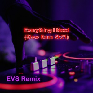 Listen to Everything I Need (Slow Bass 2k21) (Remix) song with lyrics from Randy Pangalila