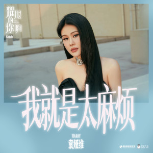 收聽袁婭維的我就是太麻煩歌詞歌曲