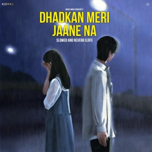 Music World的專輯Dhadkan Meri Jaane Na (Slowed and Reverb - Lofi)