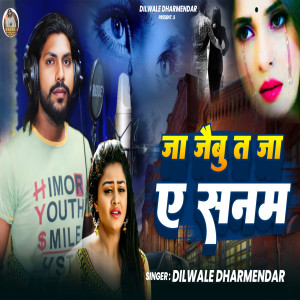 Album Ja Jaibu Ta Ja A Sanam from Dilwale Dharmendra