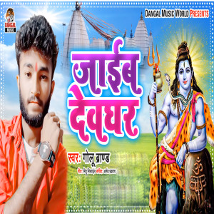 Album Jayib Devghar from 