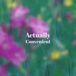 收聽Ronie Vani的Dogwood Marked歌詞歌曲