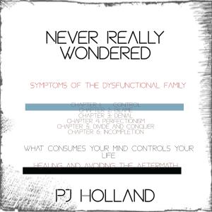 Listen to Never Really Wondered song with lyrics from PJ Holland