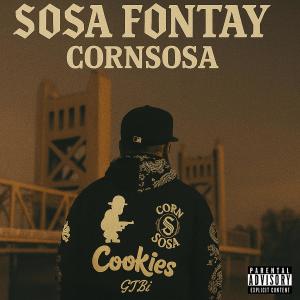 收聽Cornsosa的STOOPID (feat. YOUNG MEZZY) (Explicit)歌詞歌曲