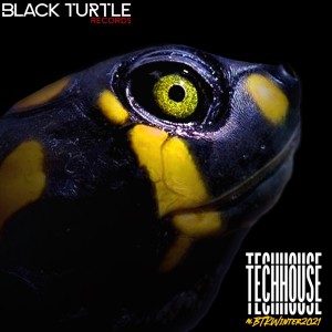 ดาวน์โหลดและฟังเพลง Turkish Fever พร้อมเนื้อเพลงจาก Berny.G