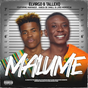 收聽Elvirgo的Malume (feat. Makhadzi & Kabza De Small & Lxrd Mordecai)歌詞歌曲