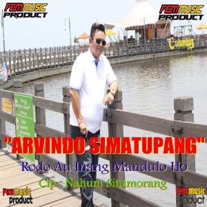Album RODO AU INANG MANDULO HO oleh Arvindo Simatupang