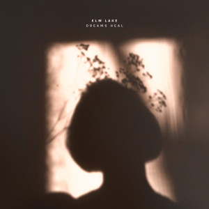 Elm Lake的專輯Dreams Heal