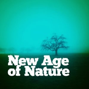 收聽New Age的Become Mindful歌詞歌曲