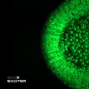 收聽Eco3的Exciter (feat. Edwards Arabu) (Remix)歌詞歌曲