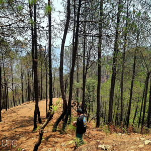 ดาวน์โหลดและฟังเพลง YMTC 2 พร้อมเนื้อเพลงจาก THE UFO PRODUCTIONS