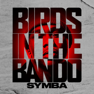 ดาวน์โหลดและฟังเพลง Birds In The Bando (Explicit) พร้อมเนื้อเพลงจาก Symba