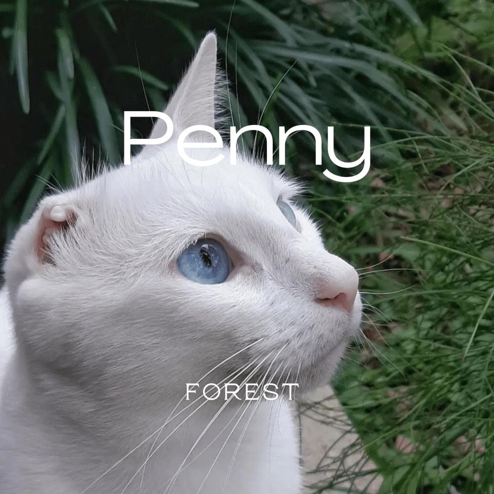 Penny