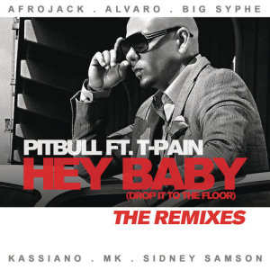ดาวน์โหลดและฟังเพลง Hey Baby (Drop It to the Floor) (Alvaro Remix) พร้อมเนื้อเพลงจาก Pitbull