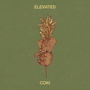 Album Elevated (Explicit) from Coki