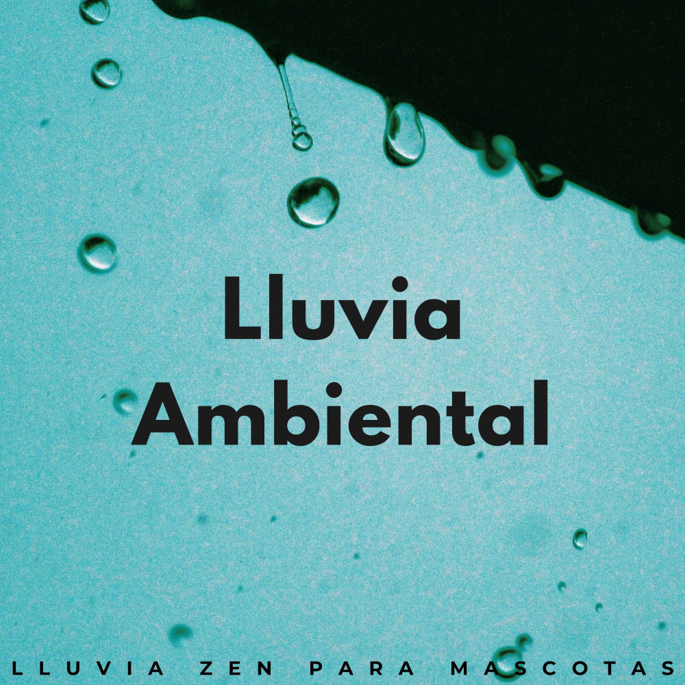 La Lluvia Zen Calma A Los Peludos Amigos