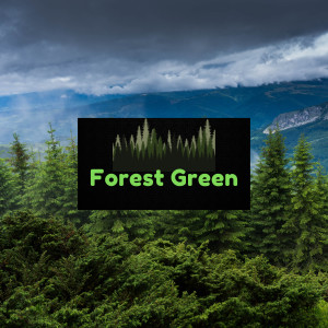 ดาวน์โหลดและฟังเพลง Calmness of the Trees พร้อมเนื้อเพลงจาก Forest Green