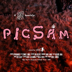 收听Soerii的Picsám (Explicit)歌词歌曲