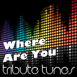 收聽Perfect Pitch的Where Are You (Tribute to B.O.b Vs. Bobby Ray)歌詞歌曲