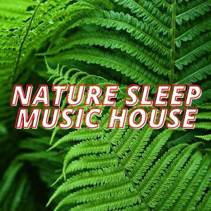 Listen to 70 Special song with lyrics from DjManuel