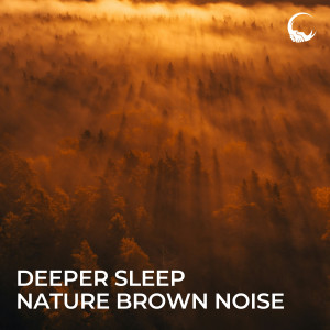 อัลบัม Nature Brown Noise for Deeper Sleep ศิลปิน Rain Sound Studio
