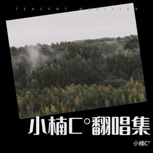 收聽小楠C°的燕尾蝶 (cover: 甦醒AllenSu|吳莫愁)歌詞歌曲