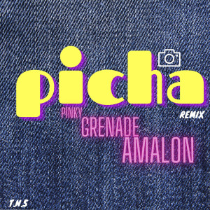 收聽Pinky的Picha (Remix)歌詞歌曲