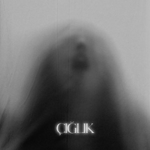 Listen to Çığlık song with lyrics from YED