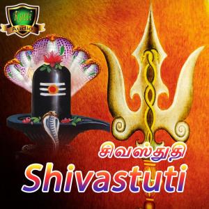 S. P. Balasubrahmanyam的專輯Shivastuti