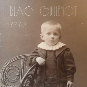 ดาวน์โหลดและฟังเพลง Empire พร้อมเนื้อเพลงจาก Black Guillemot